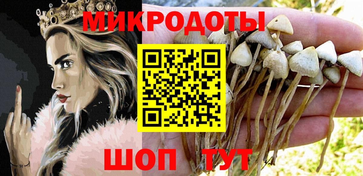 Кострома  Галлюциногенные грибы Psilocybine cubensis  Вход с VPN 