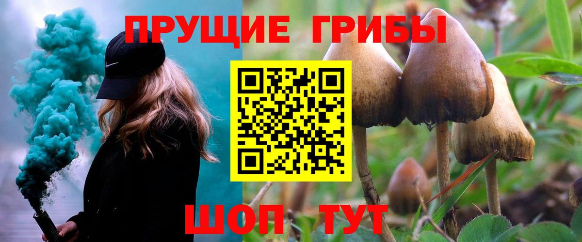 Псилоцибиновые грибы ЛСД Кострома