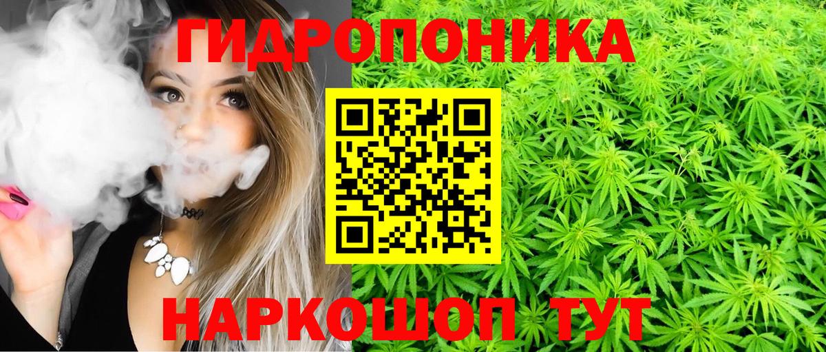 Каннабис марихуана  Каннабис семена  Конопля план  Вход с VPN  Кострома 